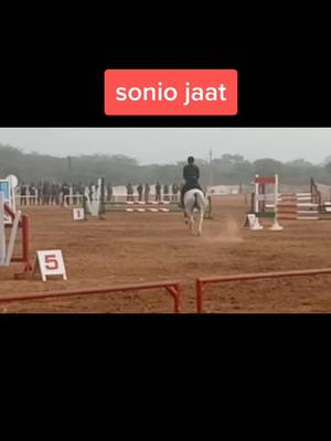 A post by @soniojaat1537 on TikTok caption: jaat kom is marsal😘😘😘😘😘😘