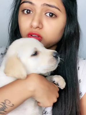 A post by @nupurghume007 on TikTok caption: ❤️❤️❤️❤️#foryoupage #cute #petlover #keepsupporting