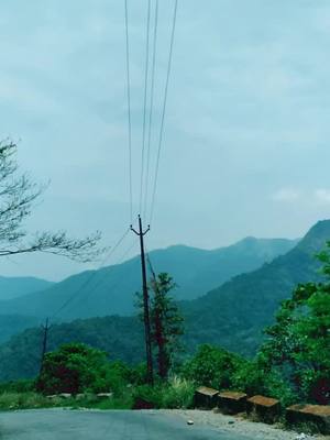 A post by @borntoride10 on TikTok caption: പാൽചുരം #wayanadtrip