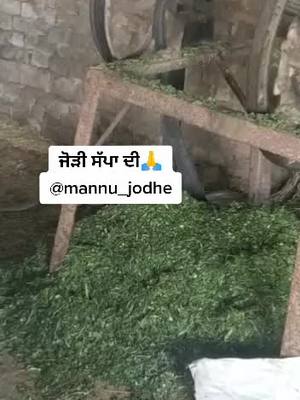 A post by @mannu_jodhe on TikTok caption: ਜੋੜੀ ਸੱਪਾ ਦੀ#snake #twice #Home #viral