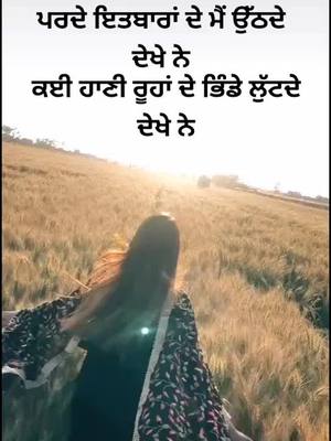 A post by @sardarni_ji2906 on TikTok caption: #new #punjabi #song #sidhumoosewala #tiktokpunjab #tiktok #tiktokindia #viral #video