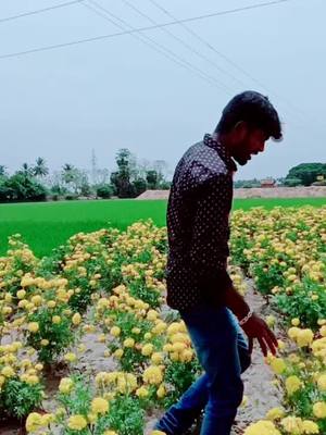 A post by @kabilan4646 on TikTok