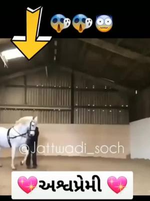 A post by @h_v_7777 on TikTok caption: #horse_lover #horse_rider #kathiyawadi_horse #sivsarkar333#h_v_777 #foryou #foryoupage #virał #tiktokindia