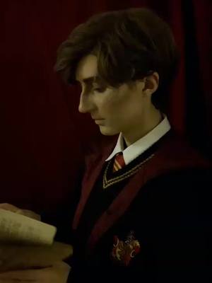 A post by @arcaja on TikTok caption: 'cause they never listen, right?? #marauders #hpcosplay #remuslupin #hogwarts #moony #duet