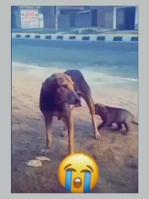 A post by @fasi.ranuzz on TikTok caption: പ്രപഞ്ചത്തിൽ അമ്മയേക്കാൾ പോരാളി മറ്റാരുമില്ല.. 😥#handwashchallenge #amma #ammalove