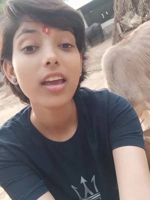 A post by @sugar__cup on TikTok caption: desi chhori🙏🌸#foryoupage #desichhori #gaav #villager #quarintinelife #facesymmetrycheck #dwsunalii #tiktok_inida #teamxmarvel #24#0 #junglibili #00