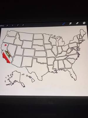 A post by @mariacurbeloo on TikTok caption: Day 2 of filling in the USA map with each states flag 🇺🇸 #LearnOnTikTok #procreate