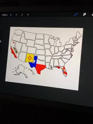 A post by @mariacurbeloo on TikTok caption: Day 4 of filling the map of the USA with each states flag #indoorlooks #procreate