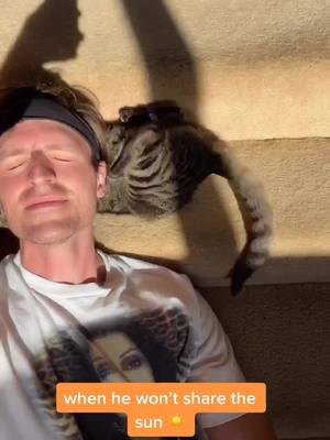 A post by @thefakebigandmilky on TikTok caption: for being a cat, he sure is a sun hog lol #fyp #foryourpage #foryou #catsoftiktok