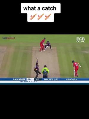 A post by @hardikgajera17 on TikTok caption: super catch#t20#domestic#cricketlovers#aus#cup#newtrend#challangeforu#cricket#tiktokindia