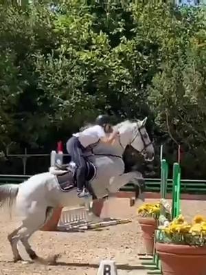 A post by @equestrian.hypehouse_7 on TikTok caption: Percorso di domenica😍preferite stivali o ghette? #neiperte #foryou #horse #equestrian #cavallo #equestrianlife #viral #doubleyourimpact #fyp