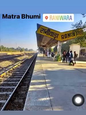 A post by @piyush6125 on TikTok caption: #NavratnaCoolChampi #tiktokindia #team_rajasthani #raniwara @sureshrajguru01 @arvindrajguru01 @user9766979117377 @dewal_sidhu_banna @varsha143sharma