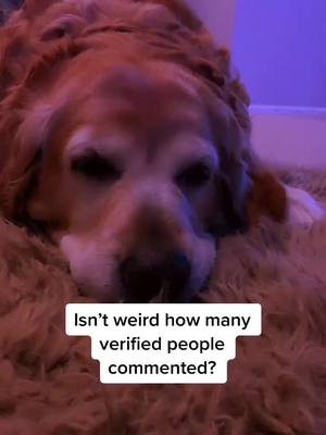 A post by @sarathegolden on TikTok caption: Tag Verified￼ creators￼!