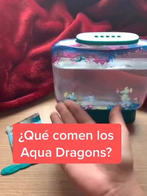 A post by @mini.dragons on TikTok caption: Alimentando a mis mini dragones 😍 ¡Sígueme para ver su crecimiento! 😱 #xyzbca #aquadragons #seamonkeys