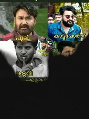 A post by @anvarkrp on TikTok caption: നിങ്ങൾക്ക് ഇഷ്ടം ആരെ യാണ് 🤩#mohanlal #tovino #dq#dileep #ഒരേ ഒരു രാജാവ് #mamootty 😎#anvarkrp #foryou #malayam