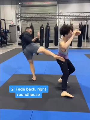 A post by @kungfuphilip on TikTok caption: 5 Roundhouse Counters #martialarts  #kungfu #shaolin #goals #fitness #ninja #muaythai #crazy #mma #fight #fightips #tutorial #kickboxing #sanda #fyp