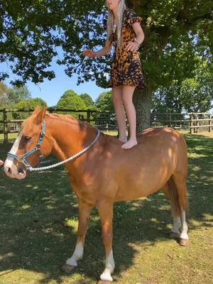 A post by @ella_clooney on TikTok caption: Storm⚡️may have needed bribing with carrots. He will do anything for food🐴! #fyp #horserider #foryoupage #horse #foryou