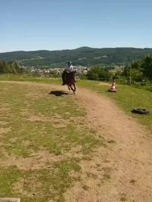 A post by @lesfailsequestres on TikTok caption: moi face a mes responsabilités, je la reposte car elle a été supprimée, je vous rassure je me suis pas fait mal hein #fyp #pourtoii #chute #equestrian