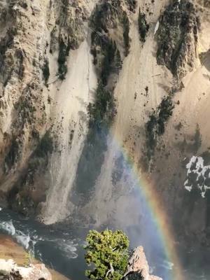 A post by @kaitlynvryan on TikTok caption: Beautiful day in Yellowstone 🌈 #foryoupage #fyp #yellowstone @ler0017