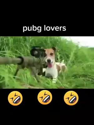 A post by @sumit_rajput_02 on TikTok caption: AWM VS M416🤣🤣🤣@sumitgohana  #pubg #pubgindia #pubgilover @lavi7700