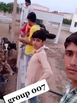 A post by @pawan_bishnoi_ on TikTok caption: @ramesh0029