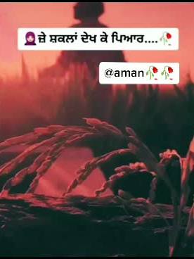 A post by @amanpb04 on TikTok caption: #foryoupage #terinding_video #tiktok_india