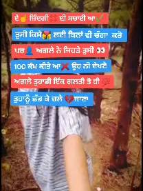 A post by @jass_5252 on TikTok caption: ਏ ☝️ਜ਼ਿੰਦਗੀ💢 ਦੀ ਸਚਾਈ✅ ਆ