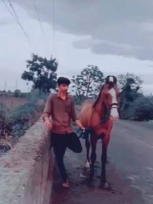 A post by @nayan_darbar_7 on TikTok caption: #HainTaiyaarHum #zorawar #kathidarbar #slowmo #viral #just #swagstepchallenge #bapudayro #foryou #b