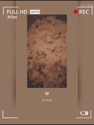 A post by @neetulamgariya on TikTok caption: part 2 #pohe #poharecipe #myrecipe #myfood #viral #foryou #tiktok