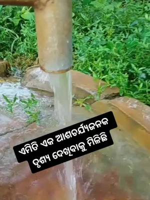 A post by @kumargautamrout on TikTok caption: #fouryou #foryopage #tiktokindia #trending #vairalvideo #ମୋ_ଓଡ଼ିଶା_ସବୁଠୁ_ବଢିଆ