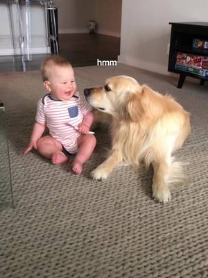 A post by @goldenbenjamin on TikTok caption: would u hire me as your babysitter? #foryoupage