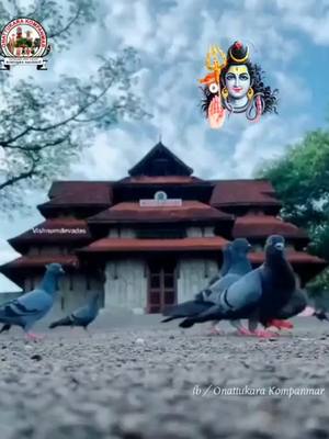 A post by @sudheesh0090 on TikTok caption: ഓം നമശിവായ 🙏🔥🙏