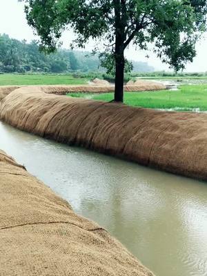 A post by @rasheedrashi007 on TikTok caption: മലപ്പുറം എന്റെ നാട്👌#malappuram #malappuramkaran #kl10 #viralvideochallenge #ShareTheCare #kooriyad#fouryou