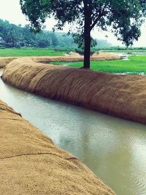 A post by @rasheedrashi007 on TikTok caption: മലപ്പുറം ഡാ#💪💪💪 #malappuram #malappuramkaran #kl10 #kooriyad #ShareTheCare #fouryou #malappuramkari #fouryou #kottakkal