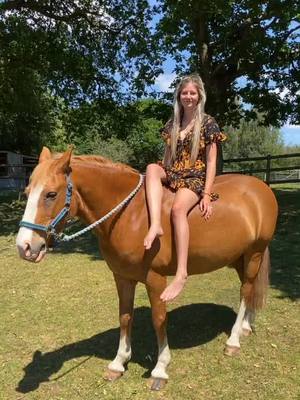 A post by @ella_clooney on TikTok caption: Storm and I dancing in the sun☀️comment if you see him start to dance, also what should I post next?⚡️#fyp #horserider #foryoupage #horse