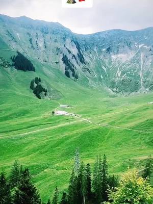 A post by @traditionalswiss on TikTok caption: Traditional Swiss Cheese Factory in the Swiss Alps ⛰ #swisscheese#cheesefactory#travel#switzerland#schwarzsee