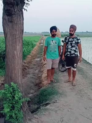 A post by @manpreetsingh9592 on TikTok caption: kiss ka paid#funny #funnypunjabi @harpreet98722 @lovelys9592 @satnampreet