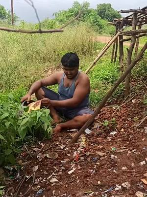 A post by @bijoydas0001 on TikTok caption: #guessthebengalinames 🙏🙏#bankurakingofsadbijoy #bankura_0001 #tik_tok_india #tiktok_india #MyntraEORSChallenge