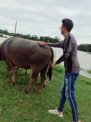 A post by @princehazarika216 on TikTok caption: ভয়ে ভয়ে বনালো বাপেকে 😂🤣🤣#prihazarika #bokakhatmuser #assamesemuser #reaction #Love #fyp #foryoupage #tiktok_india #duet