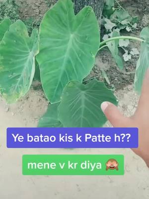 A post by @ravi_gurjar_ji on TikTok caption: batao batao jo bata dega uski video like karuga 👌👌👌😘😘😘🤔🤔🤔🤔🤔#armylover #missyou #duet #@vipingujjar069 @gorurajput31900730 @ravi_ladana @aad