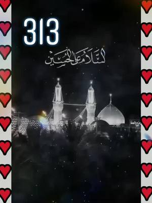 A post by @_mustafa__313 on TikTok caption: ..Maula_Ali__❤. #fypg #foryou @sakir_mer_47 @_mr_navaj_44 @samir__47 @albax________47