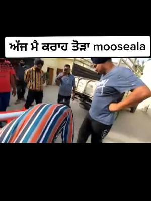 A post by @sekhonz_604_ on TikTok caption: moosewala siraa karwa aunda#sekhonz_604_ #sidhumooseala #sidhumoosewala