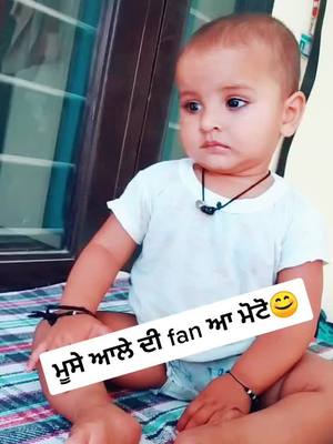 A post by @kavi_mann on TikTok caption: ਕਹਿੰਦੀ ਮੂਸੇਆਲਾ ਲਾ😜😜 #sidhumoosewala #5911 🔥🔥 #trandingvideo @reet_ak47😊