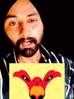 A post by @gurpreetsandhu_ on TikTok caption: #ਗੂਰੀ