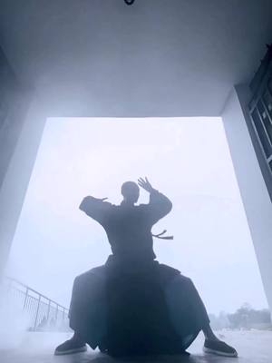 A post by @meetkungfu on TikTok caption: How do you walking in cool style with fog?#kungfu #fog #excercise #wushu #cool