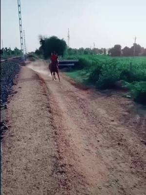 A post by @ashok_rabari2162 on TikTok