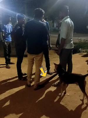 A post by @_gokulnath on TikTok caption: #foryoupage #trending #tiktokindia  மனிதர்கள் விட பல மடங்கு நன்றி உள்ள ஜீவன் 🐕🐕🐕🐕🐕,🙏🙏🙏🙏🙏