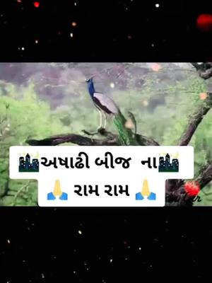 A post by @j__r__gamara__3 on TikTok caption: #અસાઢી_બીજ_🌙_ના_રામ_રામ_🤝 #viral #saportme #tiktok_femily