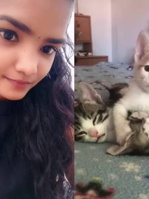 A post by @amuhoney1234 on TikTok caption: #duet with @michburk #foryou #foryoupage #amuhoney #petlover #