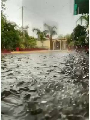 A post by @angeladalakoti on TikTok caption: kisi roj barish Jo aaye #trending #tiktokindia #love_tik_tok